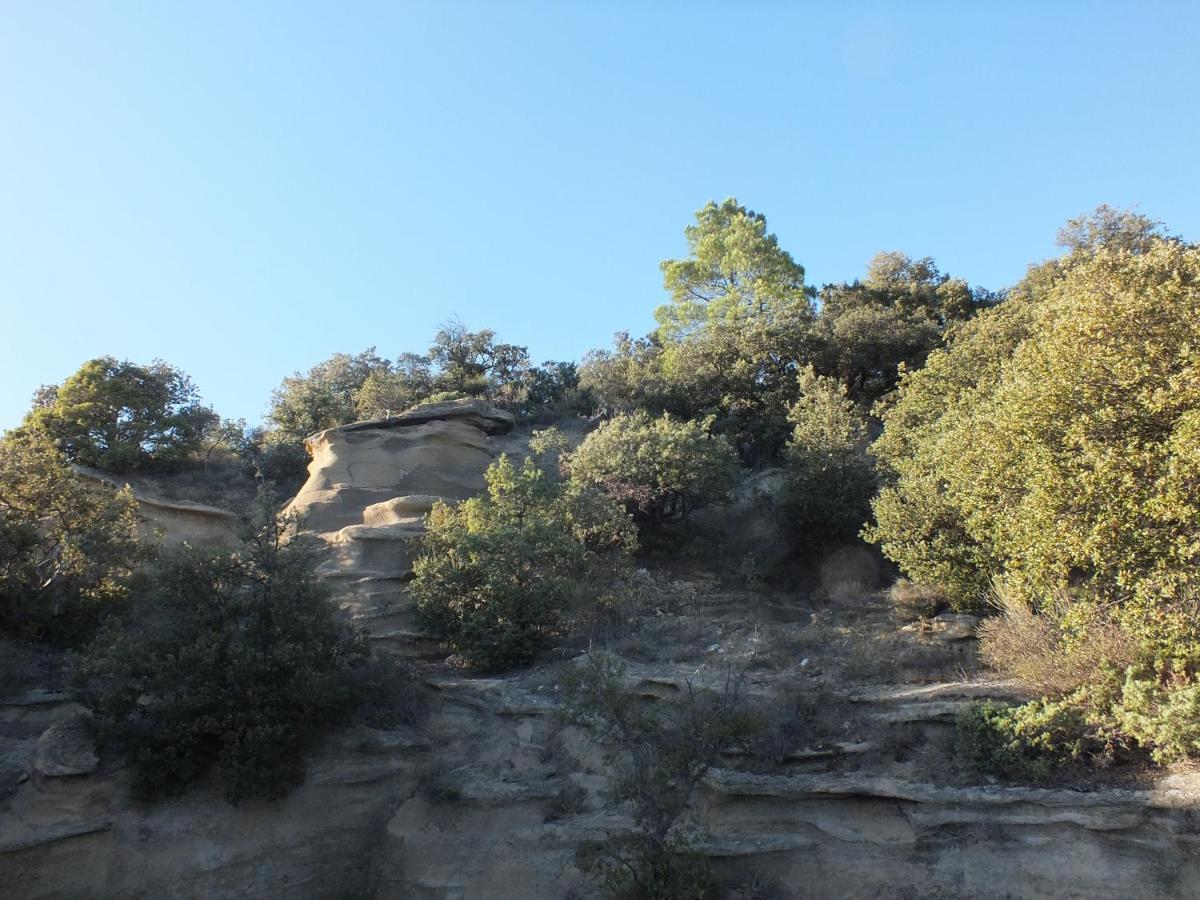 Rousset-les-Vignes Une Ronce Sous Le Figuier المظهر الخارجي الصورة